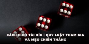 Cách Chơi Tài Xỉu 2025: Quy Tắc Tham Gia Và Bí Quyết Chiến Thắng